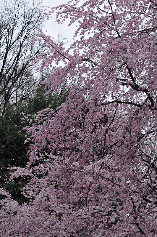 image0190
