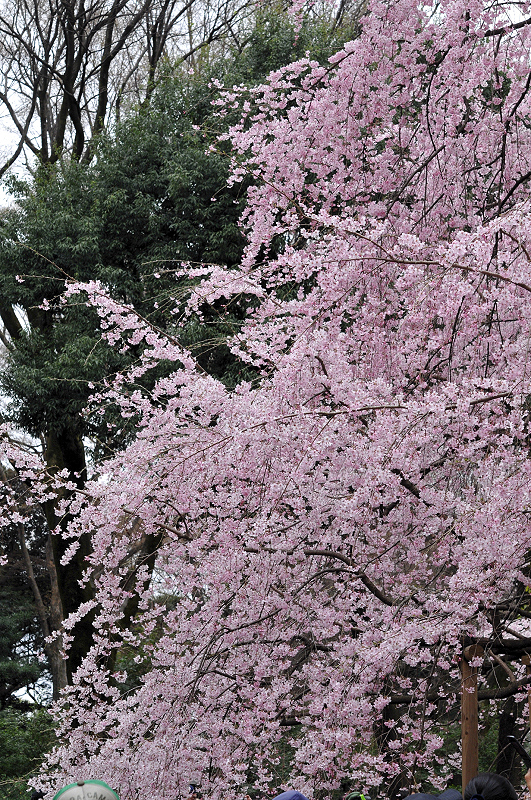 image0191