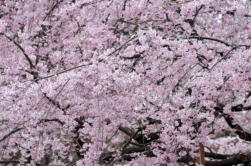 image0192