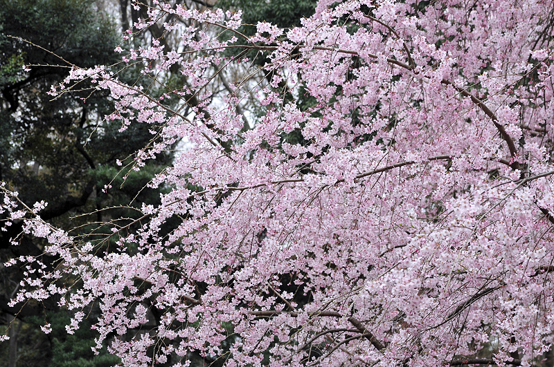 image0193