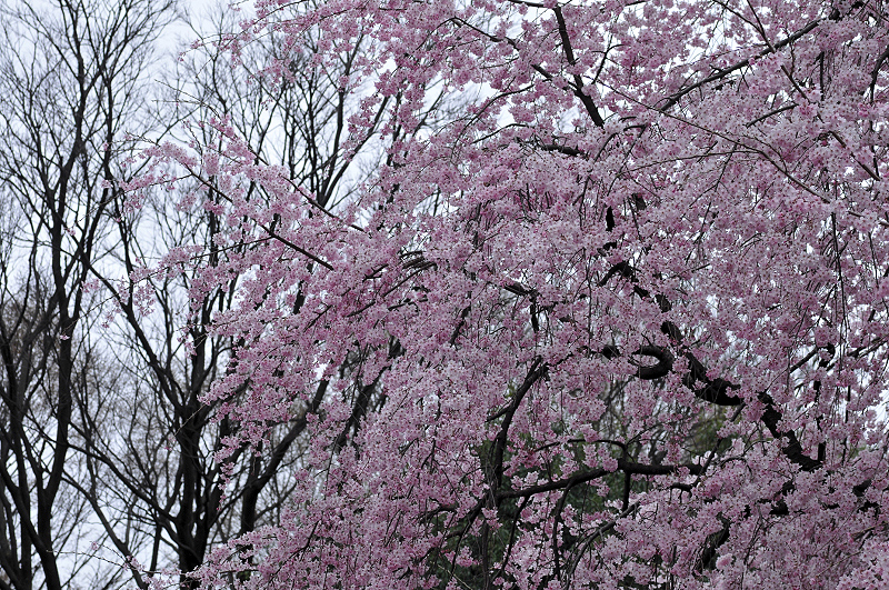 image0194
