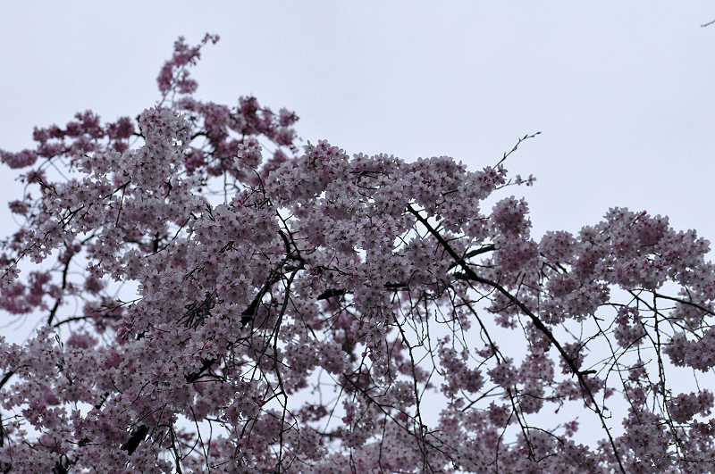 image0196