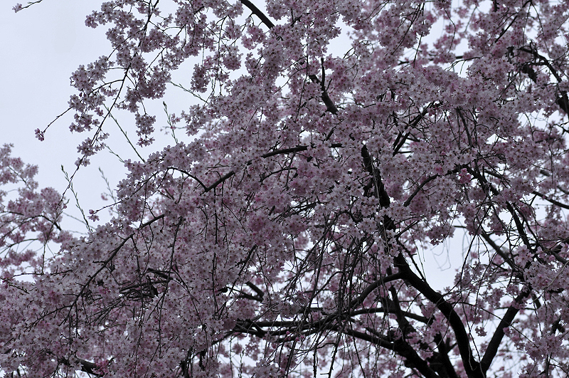image0197