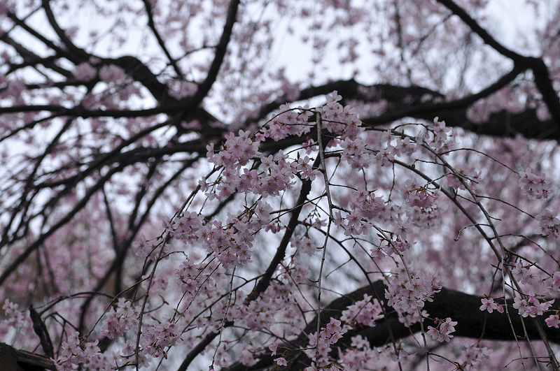 image0200