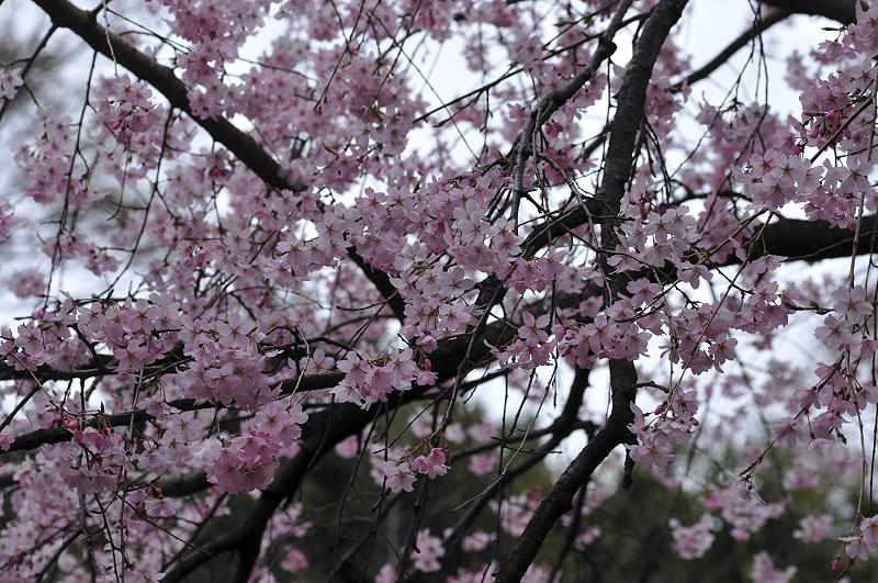 image0201