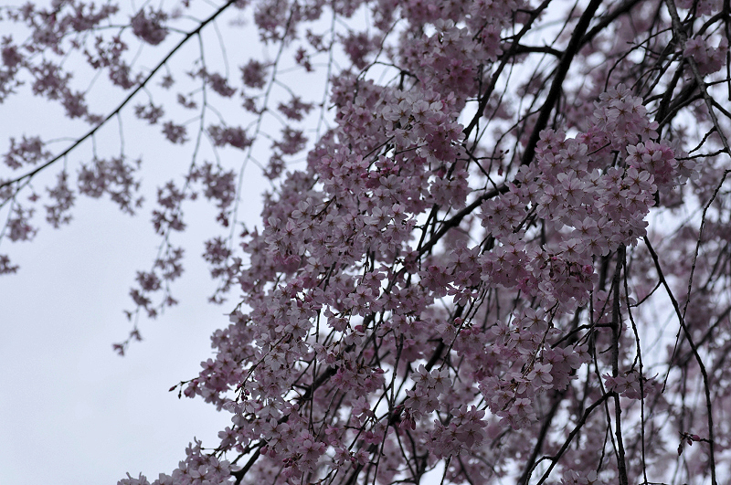 image0202