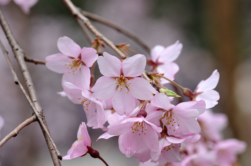 image0204