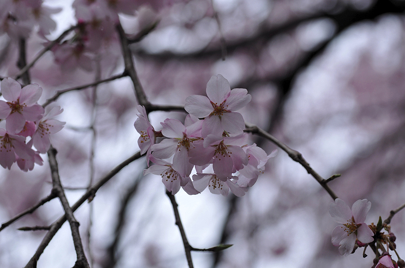 image0208