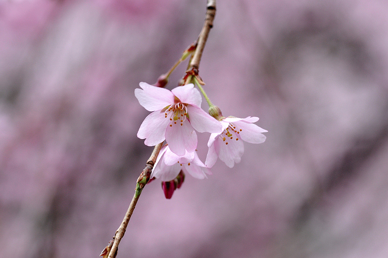 image0209