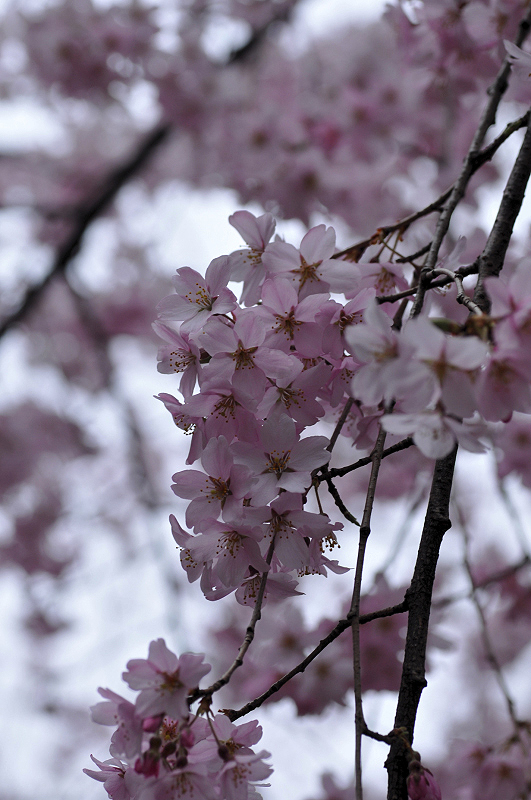 image0211