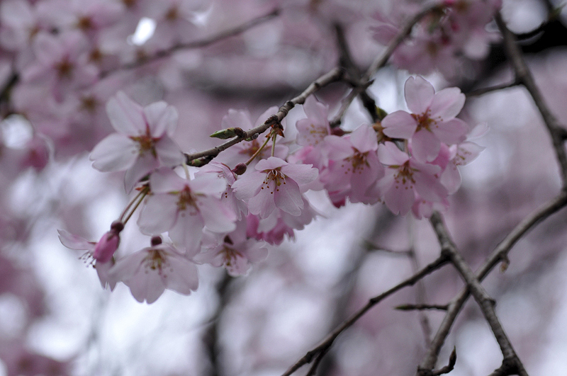 image0212
