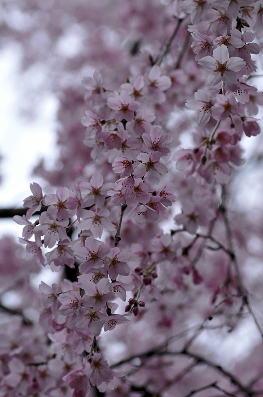 image0213