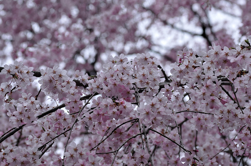 image0214