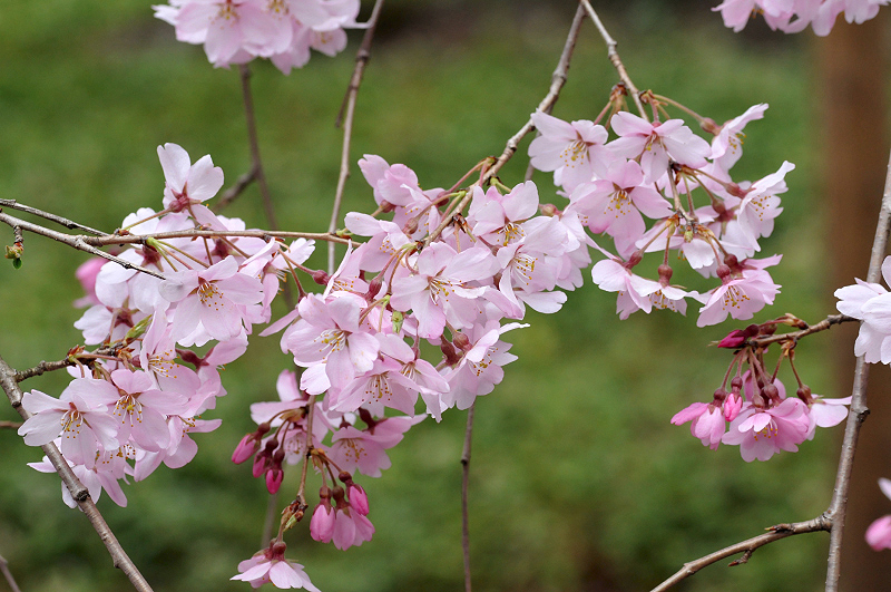 image0215