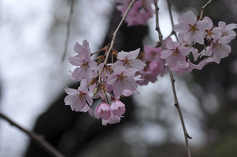 image0216