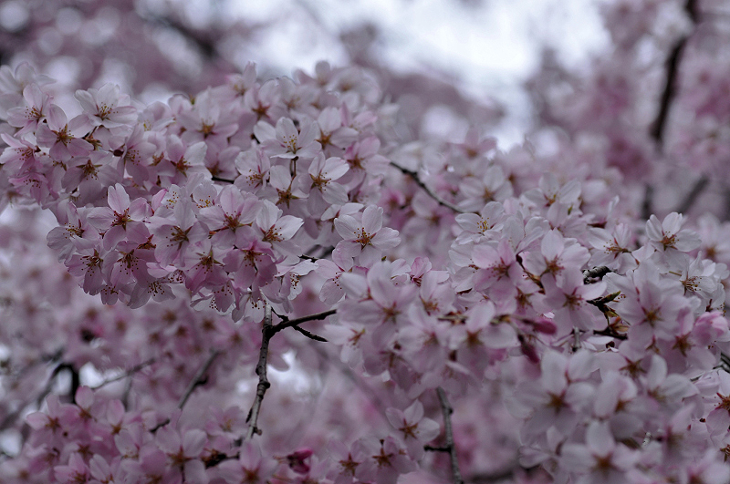 image0217