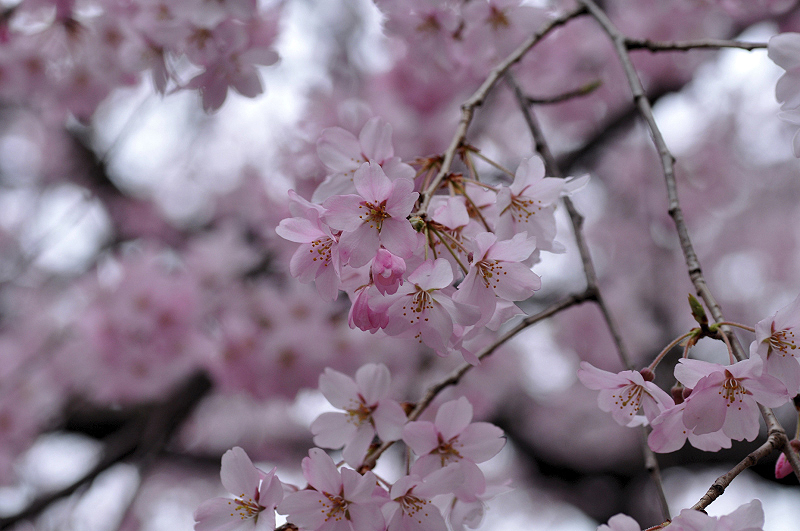 image0219