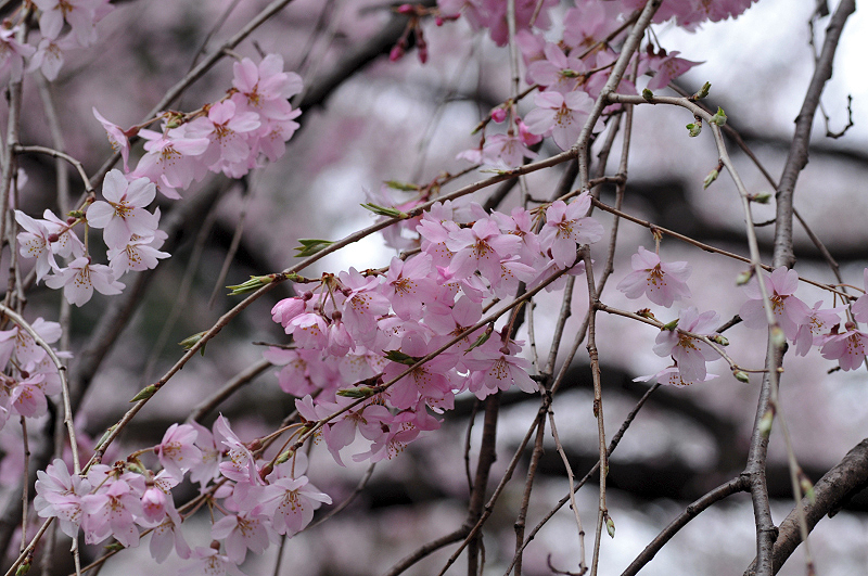 image0222