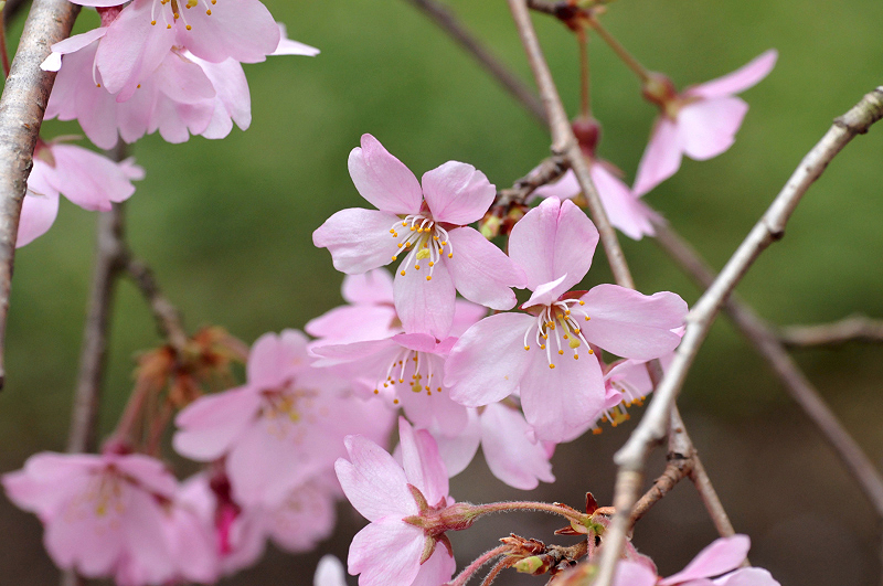 image0223