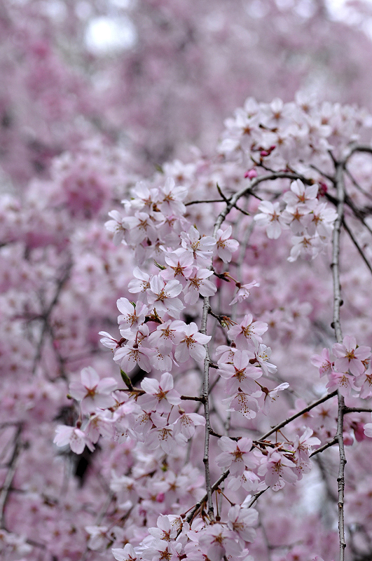 image0227