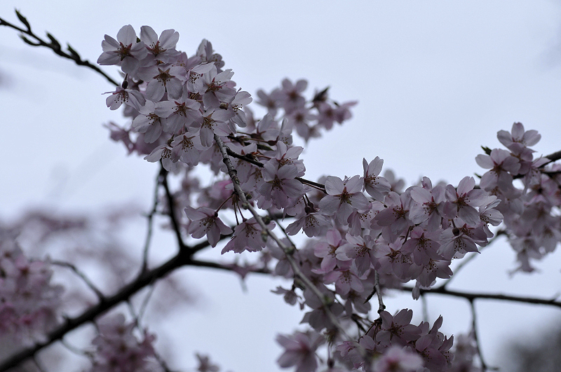 image0228