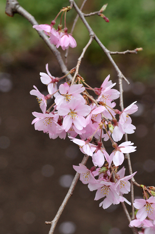 image0232