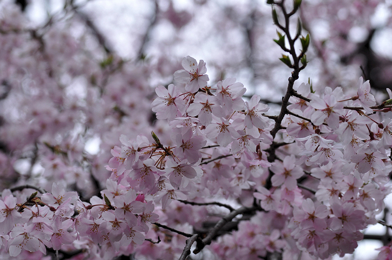image0234