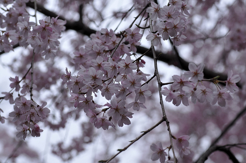 image0237