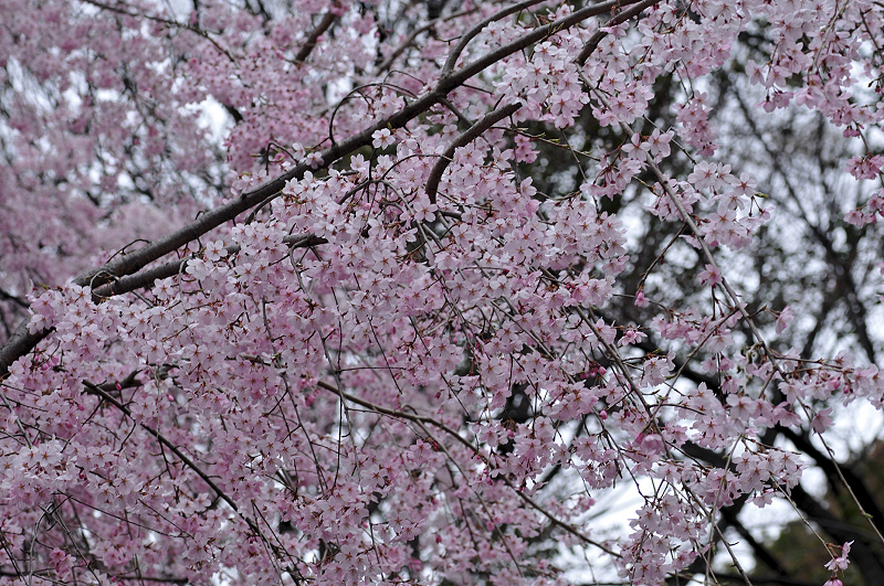 image0241