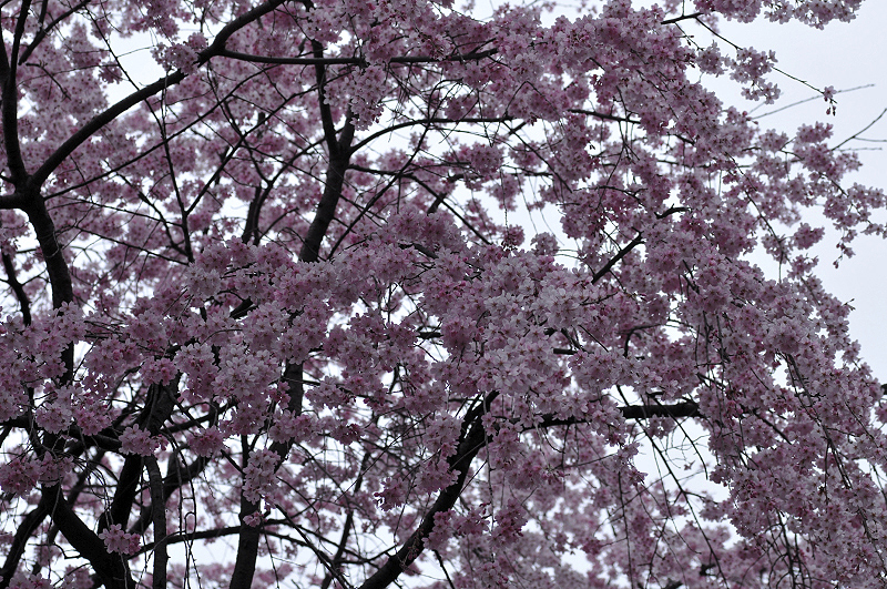 image0244