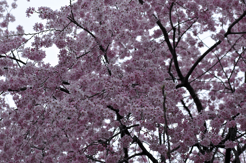 image0245