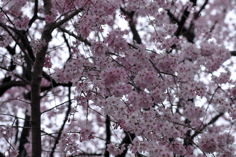 image0257