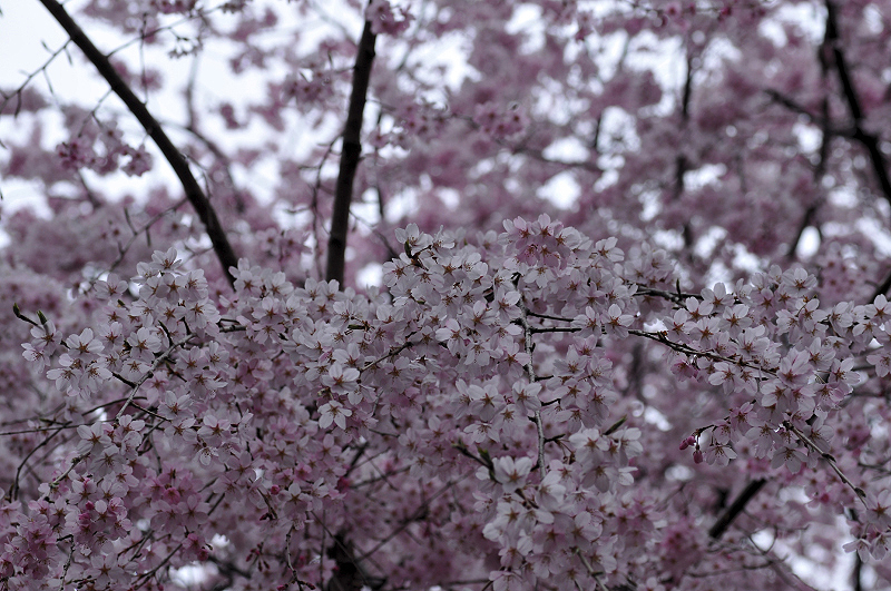 image0258