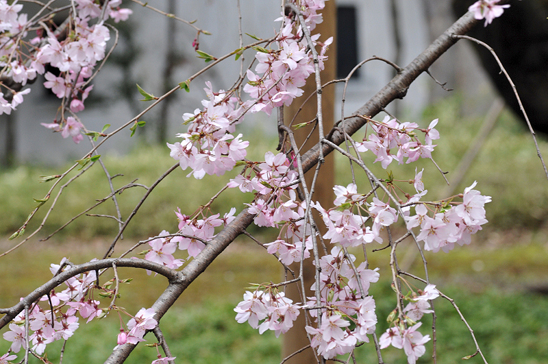image0265