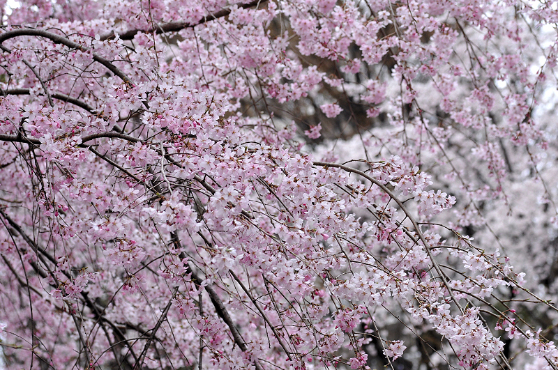 image0270