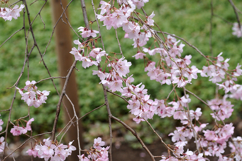 image0271