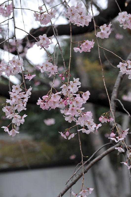 image0273