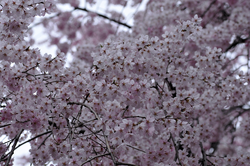 image0274