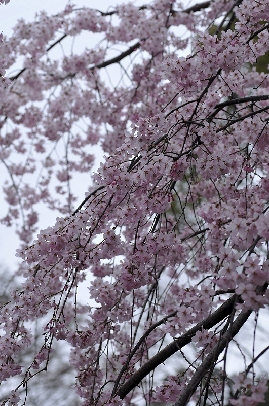 image0279