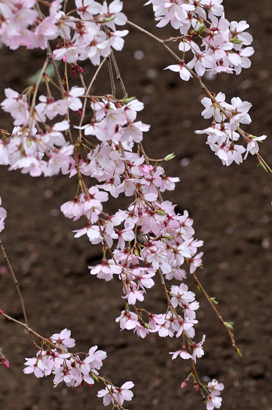 image0283