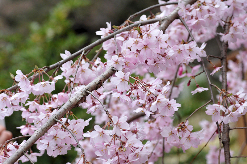 image0287
