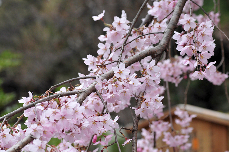 image0288