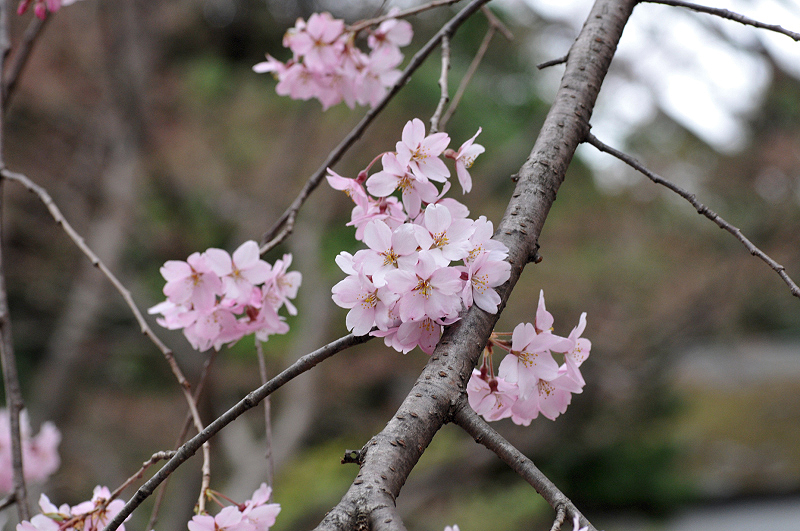 image0289