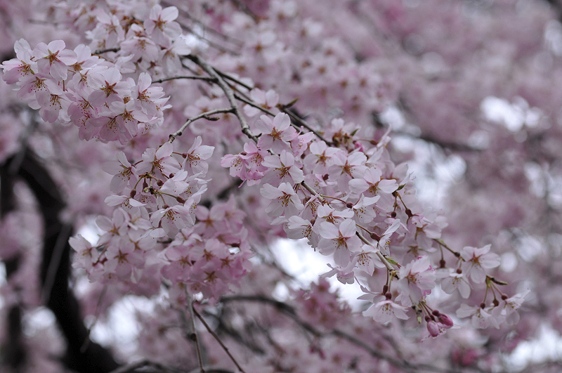 image0294