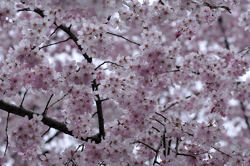 image0298