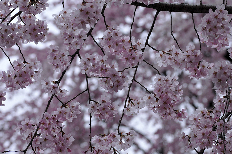 image0299