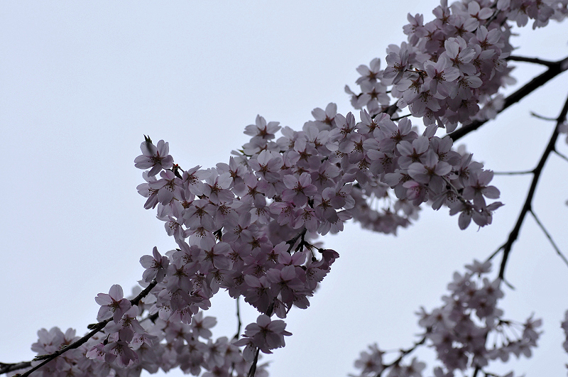 image0300