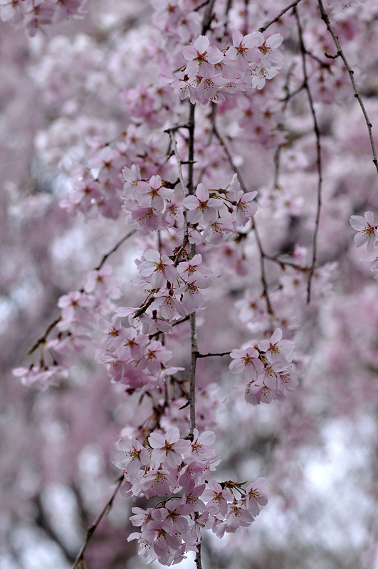 image0301