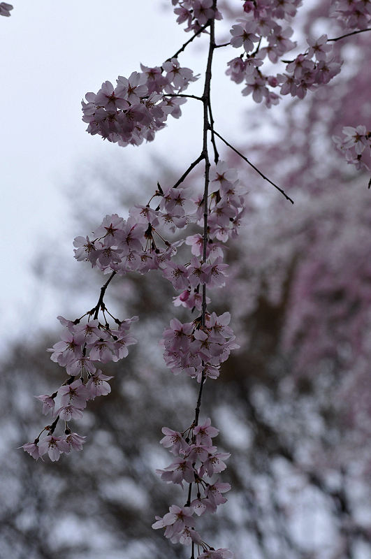 image0302