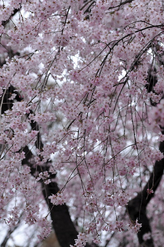 image0303